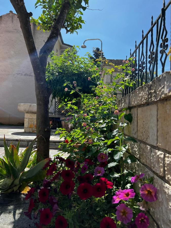 Dionysus Apartments & Studios Sívota Екстериор снимка